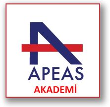 Ek APEASAKADEMİ.jpg